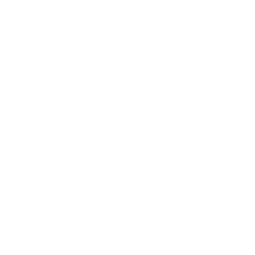 100% In-House Team and Process